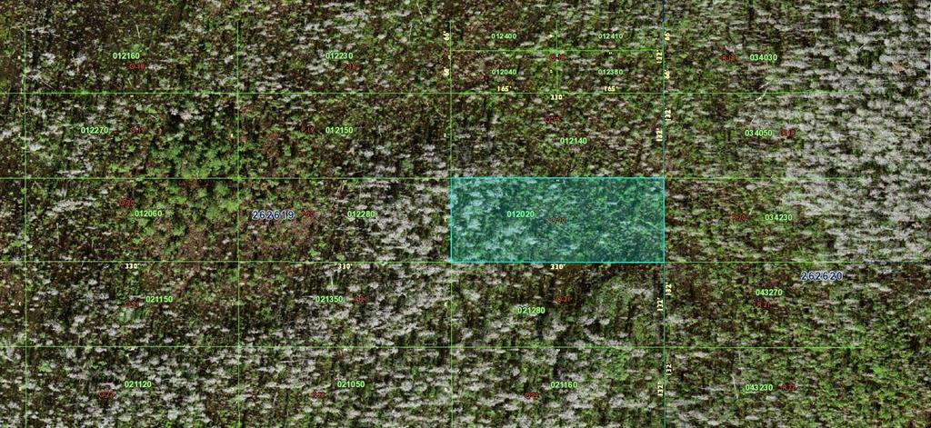 0 Old Grade Road Polk City, FL 33868 - Photo 2 of 3