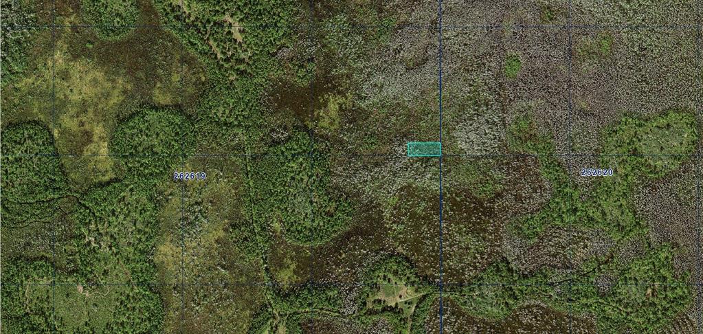 0 Old Grade Road Polk City, FL 33868 - Photo 3 of 3