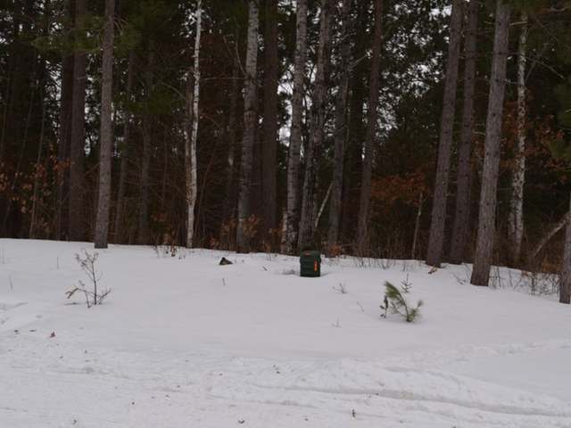 Lot 8 Nest Road Tomahawk, WI 54487 - Photo 5 of 6 Gallery Image 5