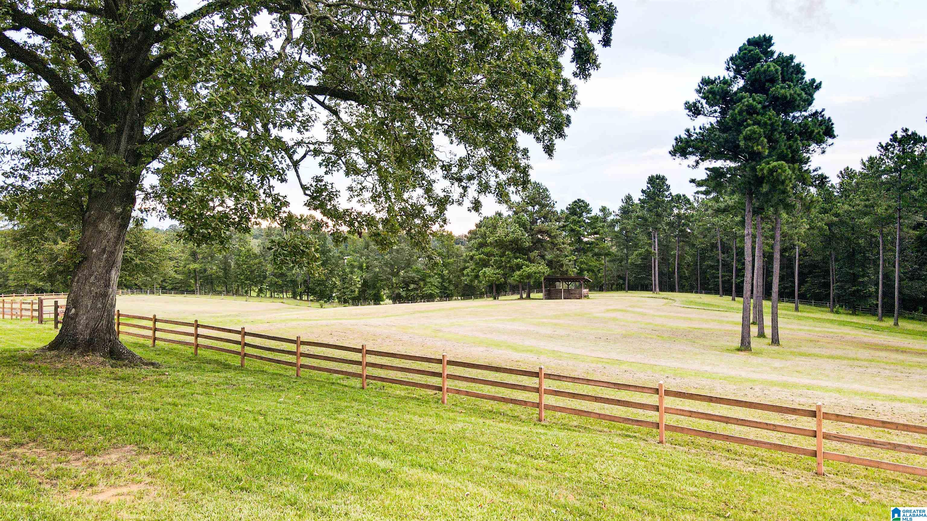 7757 Chelsea Road Columbiana, AL 35051 - Photo 30 of 41