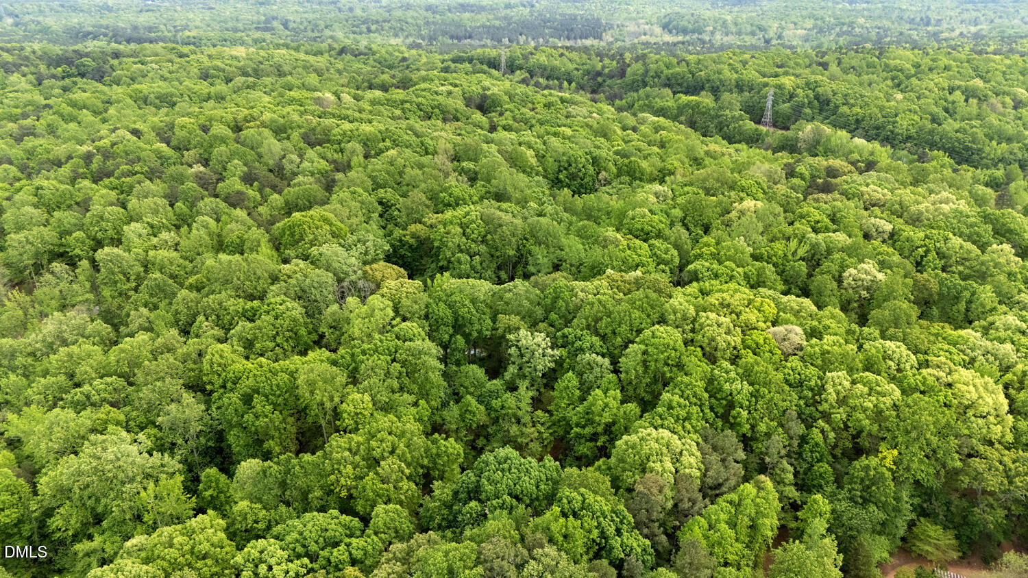 3200 Seven Springs Road Hillsborough, NC 27278 - Photo 36 of 37 a view of a lush green forest