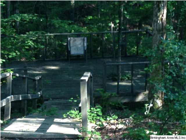 45 Ridge Top Lane Springville, AL 35146 - Photo 26 of 30