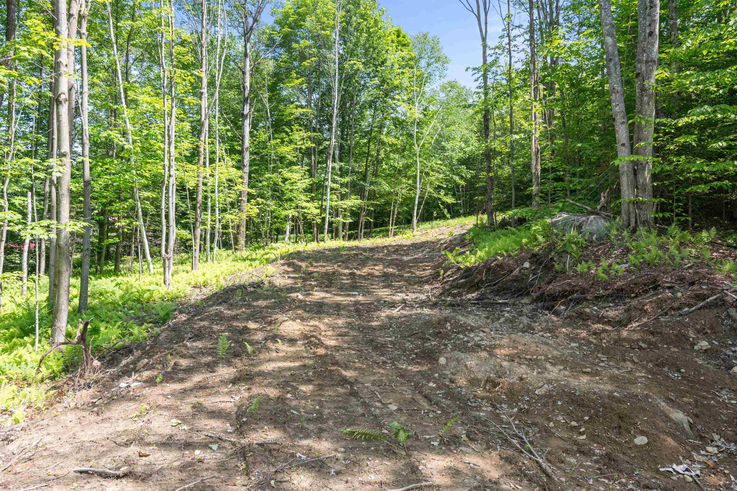 251 White Birch Road Morristown, VT 05661 - Photo 10 of 21