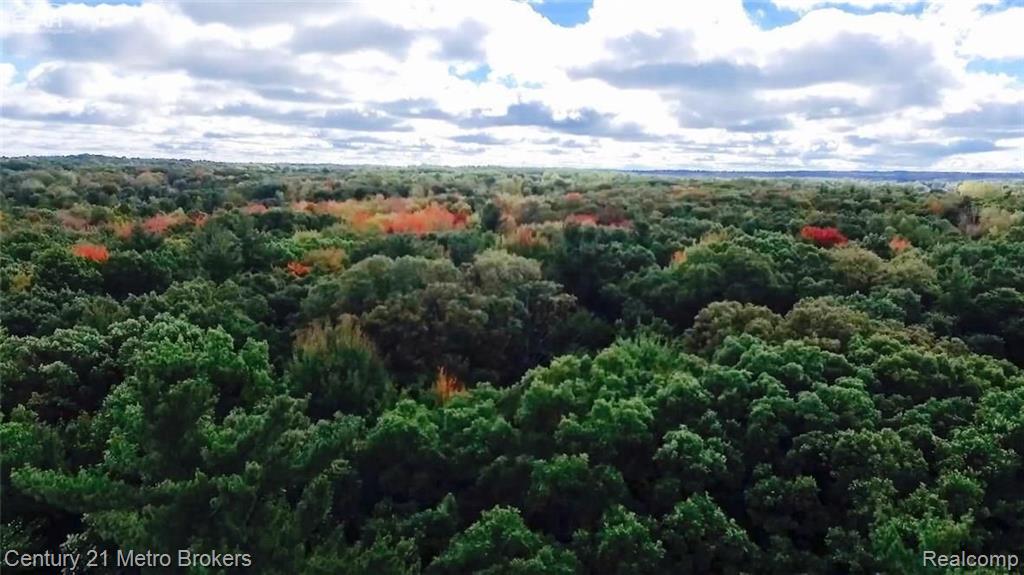0 Hunters Ridge Drive Ortonville, MI 48462 - Photo 26 of 28