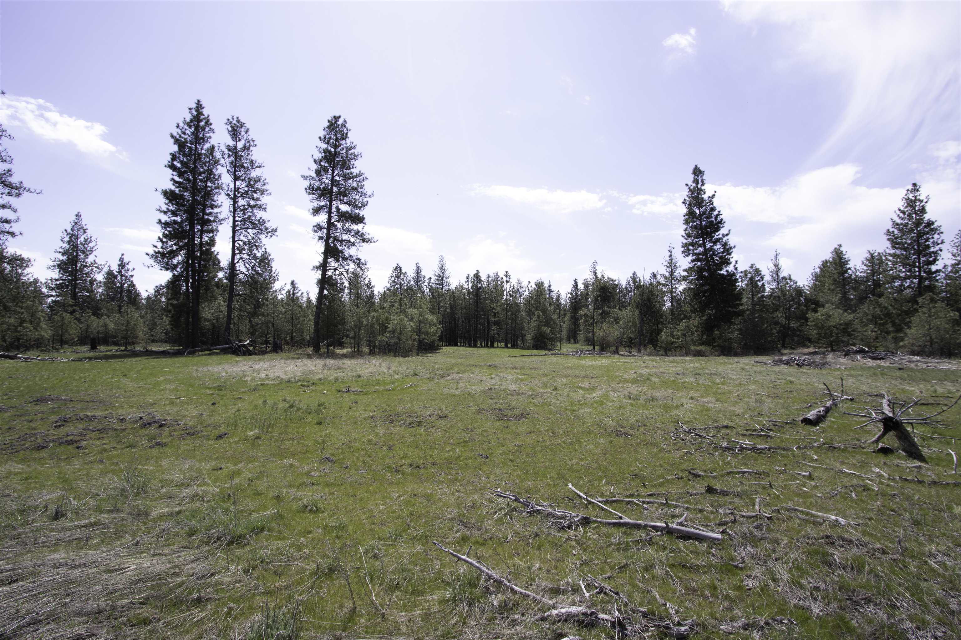 15510 South Curtis Road Cheney, WA 99004 - Photo 25 of 32