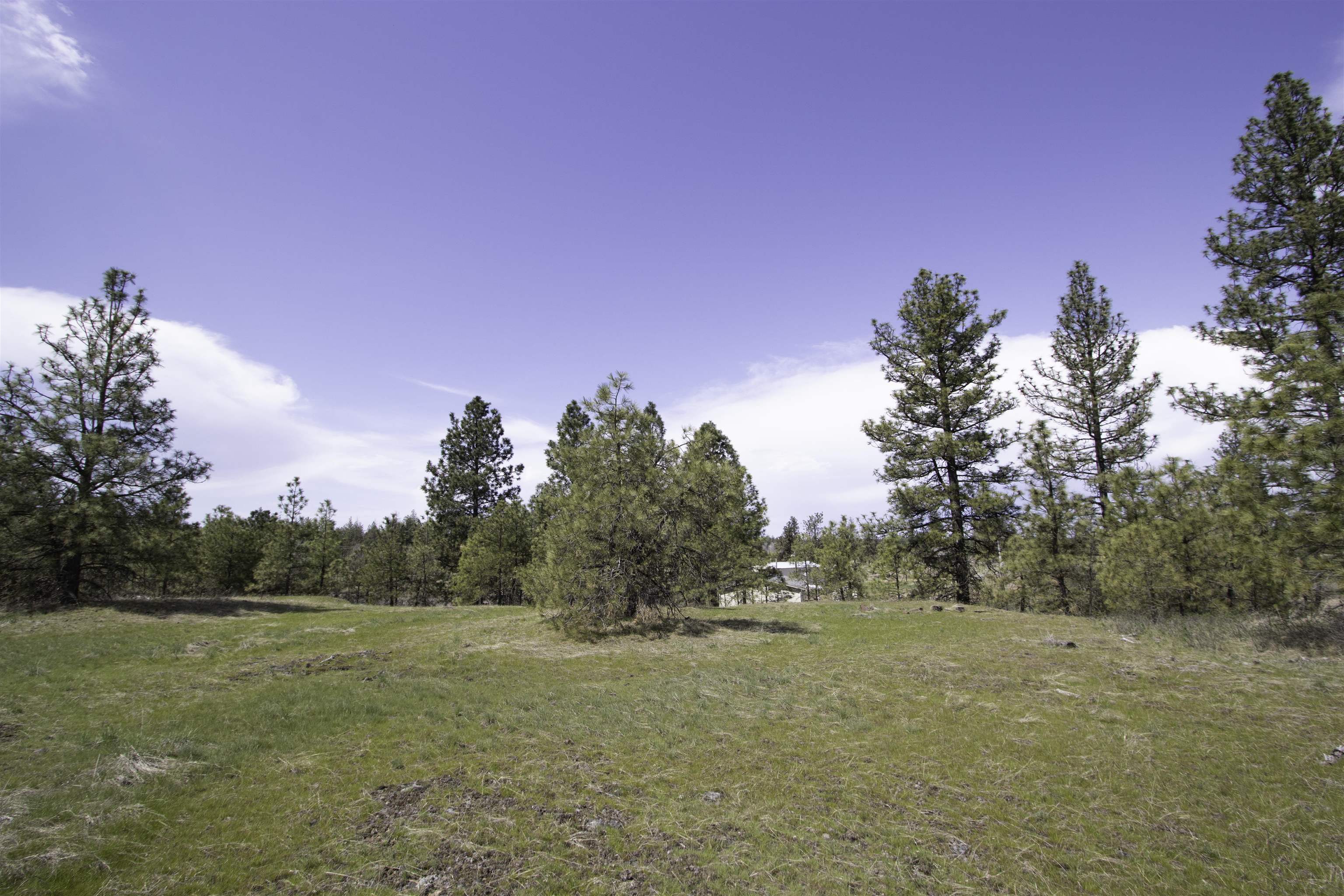 15510 South Curtis Road Cheney, WA 99004 - Photo 26 of 32