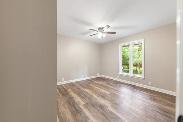 a view of a backyard with small plants and trees