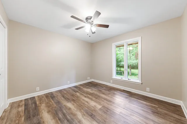 a view of a yard with plants and large trees