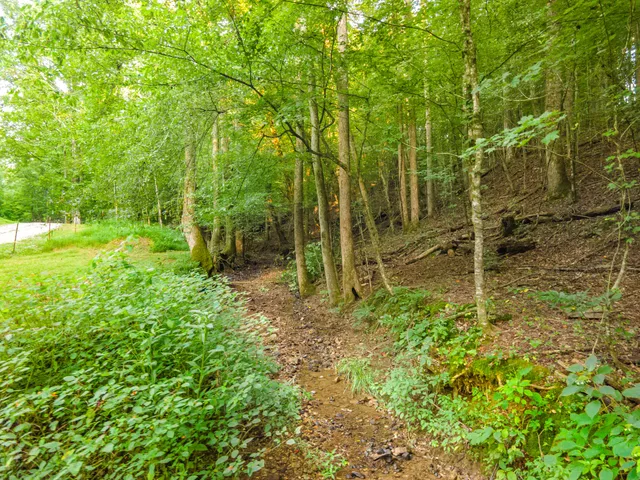 a view of a storage & utility room