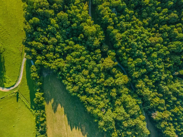 $899,800 | 5251 Lewisburg Highway, Pulaski, TN 38478