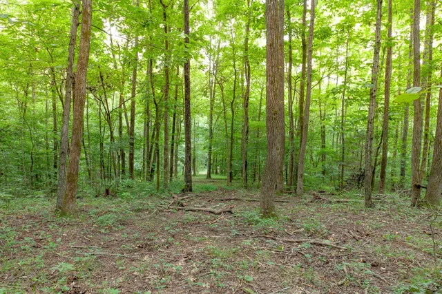 $899,800 | 5251 Lewisburg Highway, Pulaski, TN 38478