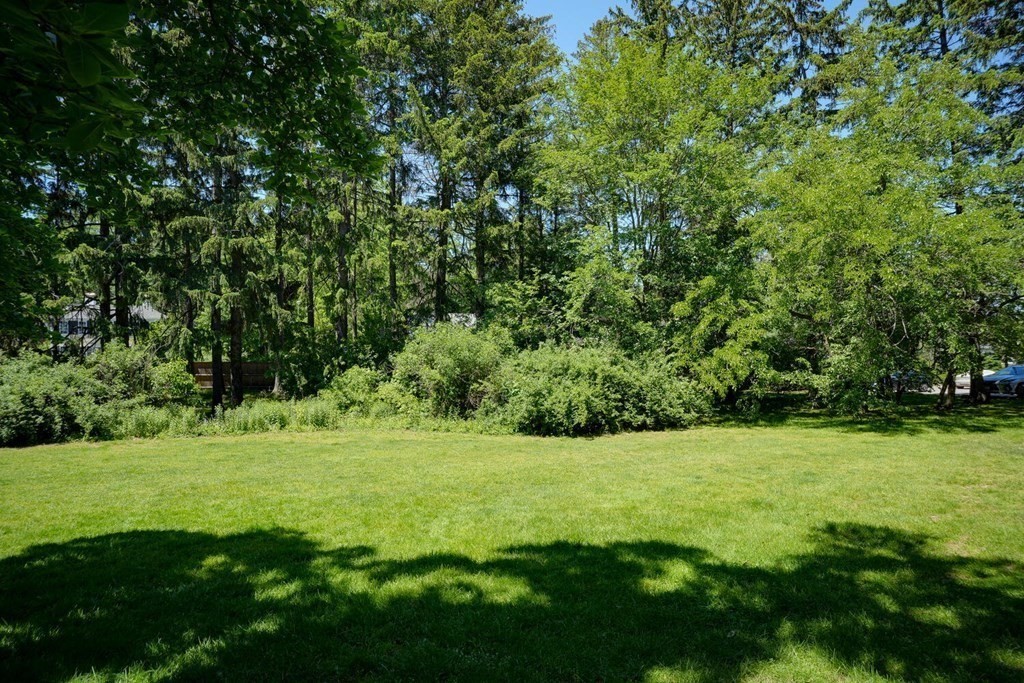 1000 Centre Street, Unit 2 Boston, MA 02130 - Photo 35 of 41