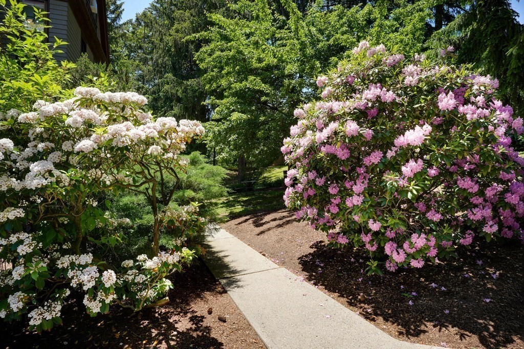 1000 Centre Street, Unit 2 Boston, MA 02130 - Photo 36 of 41