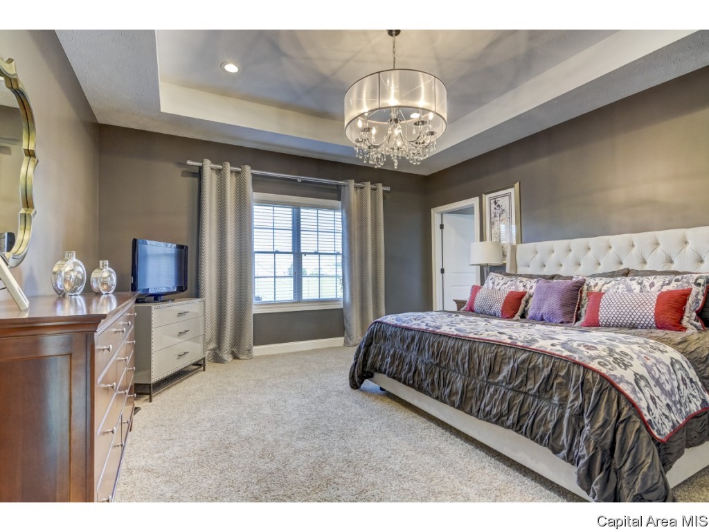 321 Grindstone Road Chatham, IL 62629 - Photo 16 of 36 Gallery Image 16