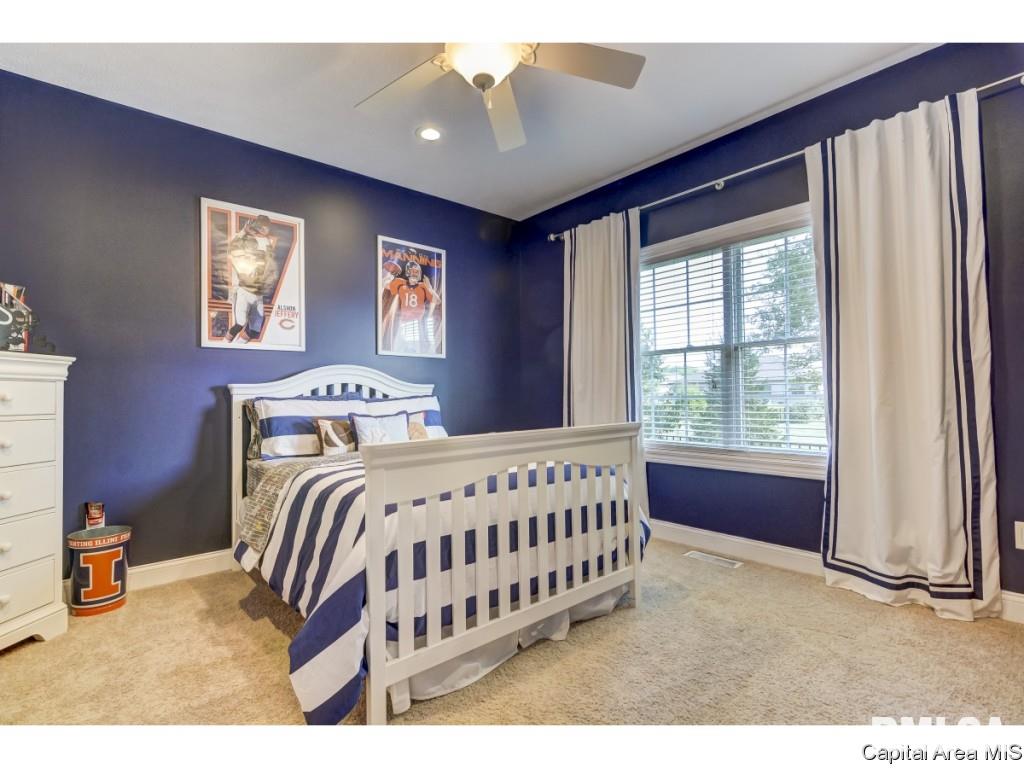 321 Grindstone Road Chatham, IL 62629 - Photo 19 of 36 Gallery Image 19