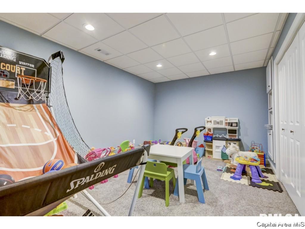 321 Grindstone Road Chatham, IL 62629 - Photo 30 of 36 Gallery Image 30