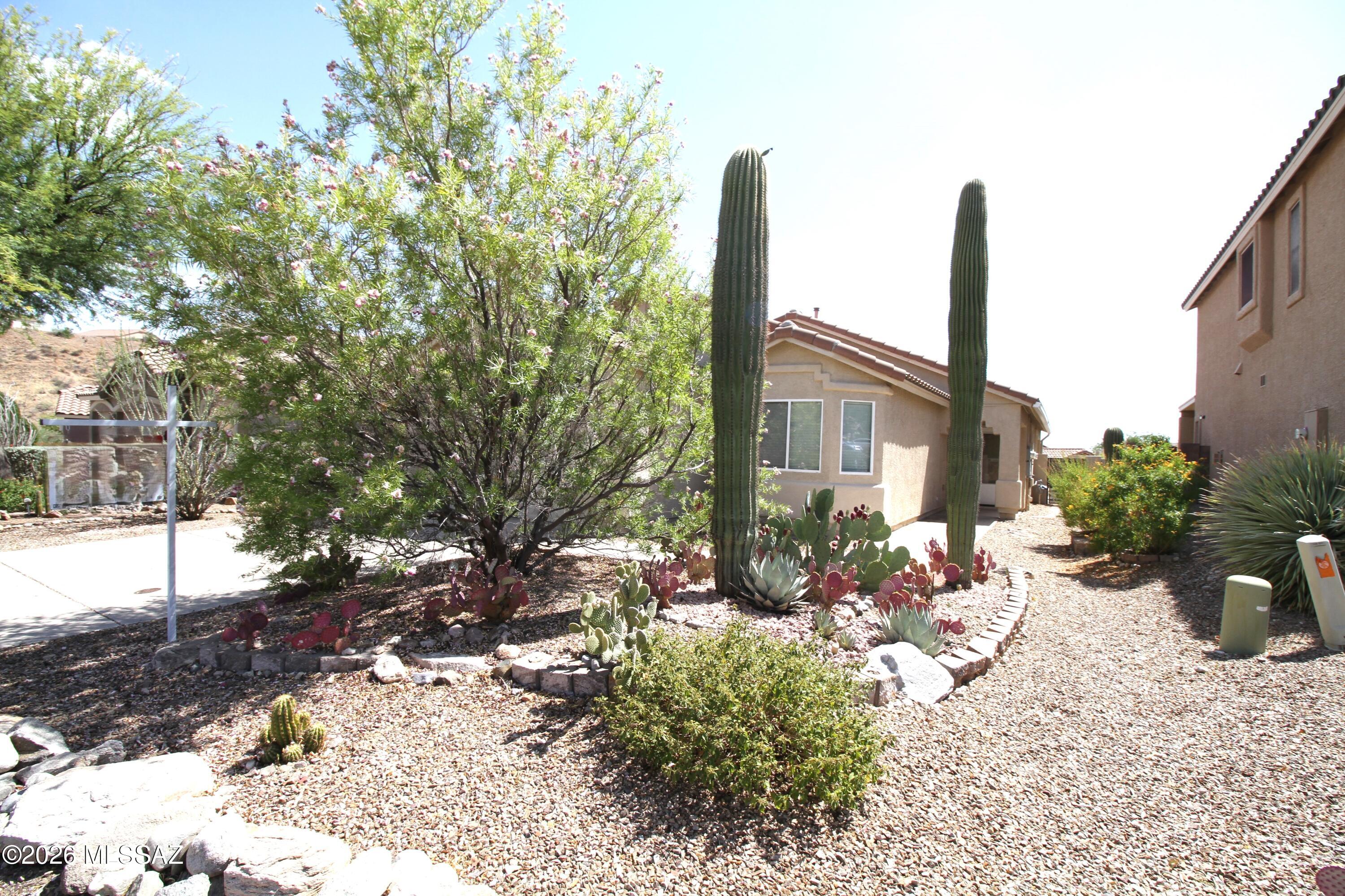 39166 Rodeo Buckle Drive Tucson, AZ 85739 - Photo 26 of 26 IMG_0676