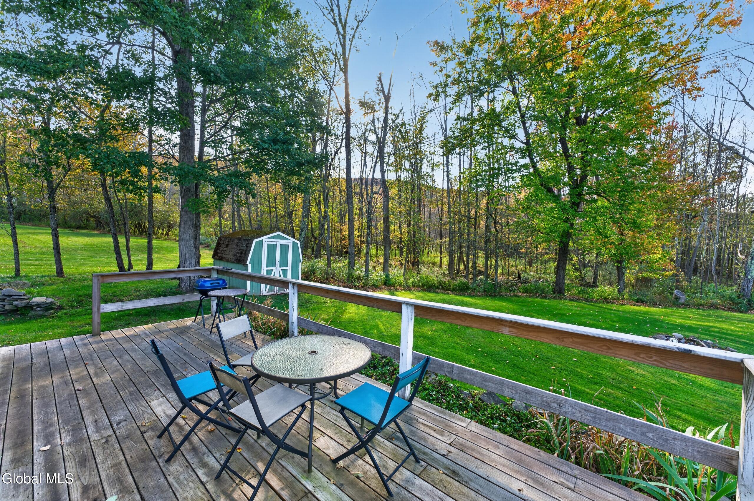 119 Brown House Road Gilboa, NY 12076 - Photo 41 of 65 0 113 Outside 7