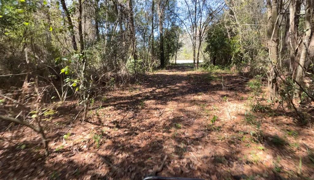 1161 Lone Star School Road Adel, GA 31620 - Photo 10 of 34 Gallery Image 10