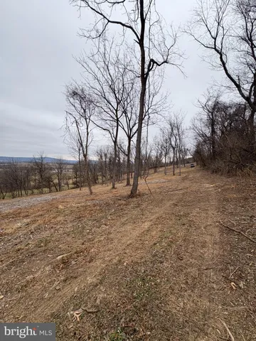 a view of yard covered with snow