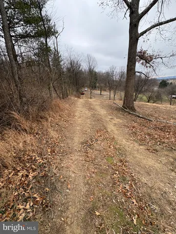 a view of a yard with trees