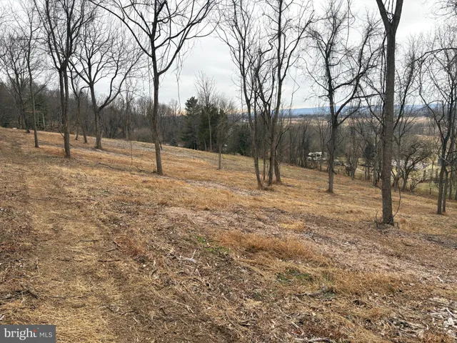 a view of empty space with trees