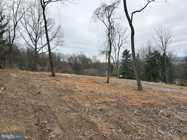 a view of outdoor space with trees