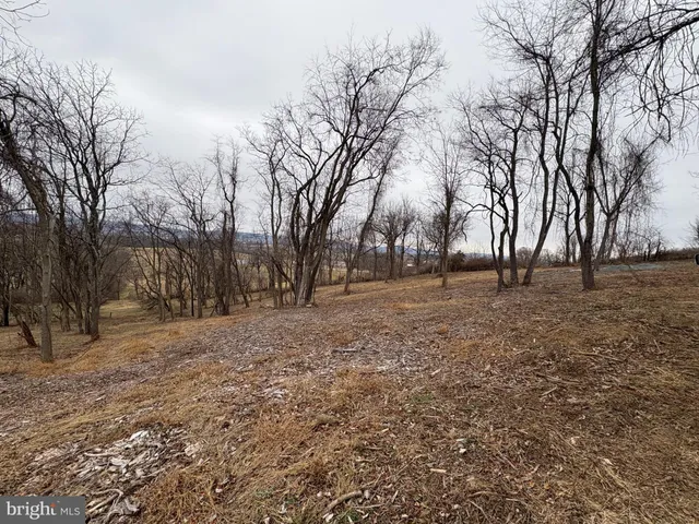 a view of outdoor space with trees