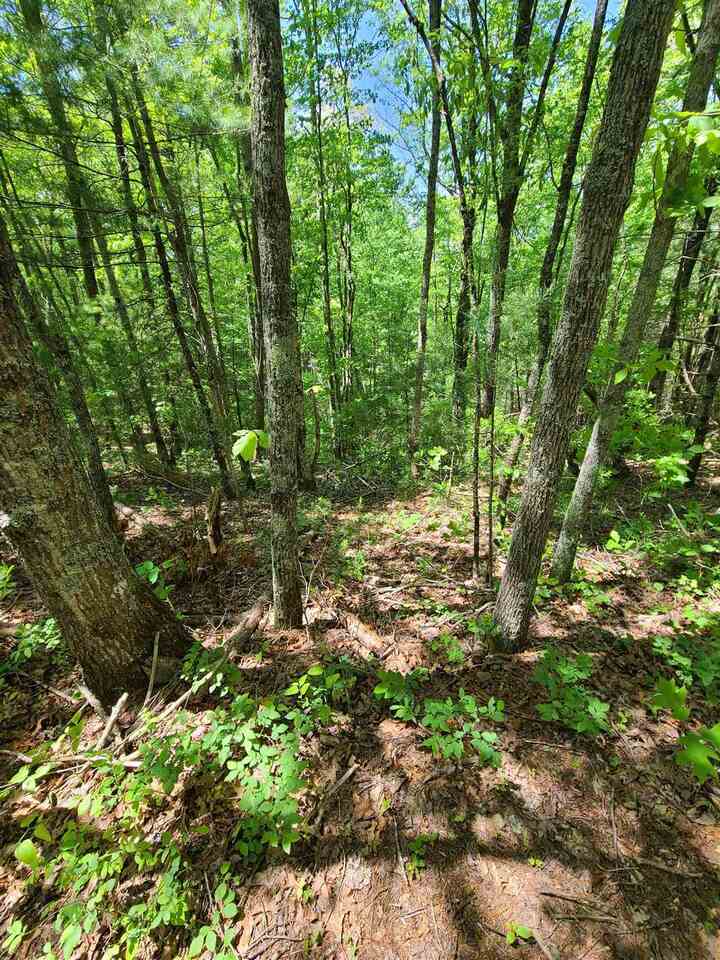 0 Laurel Creek Road Blue Ridge, GA 30513 - Photo 1 of 1