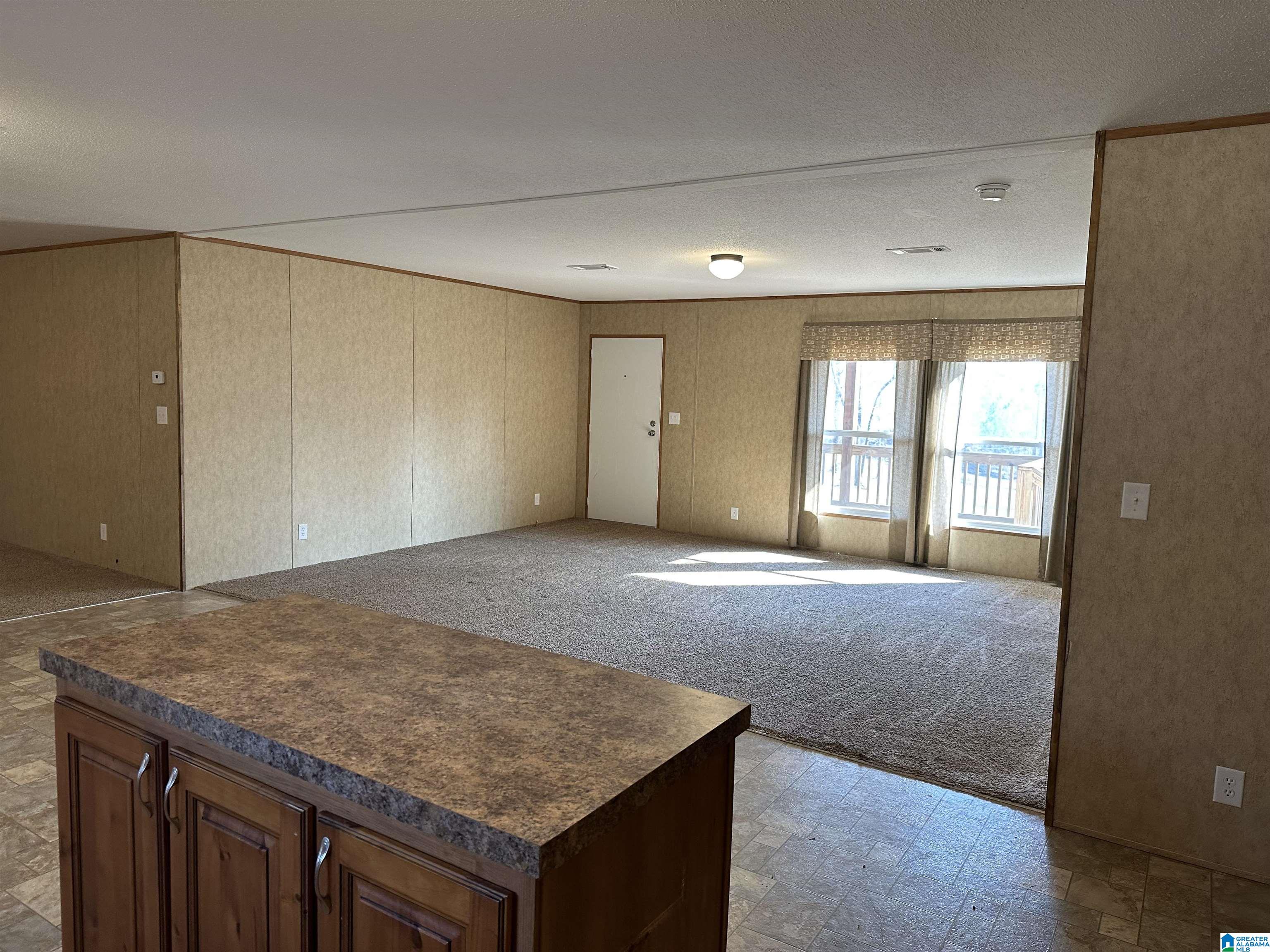 6640 County Road 79 Daviston, AL 36256 - Photo 18 of 20