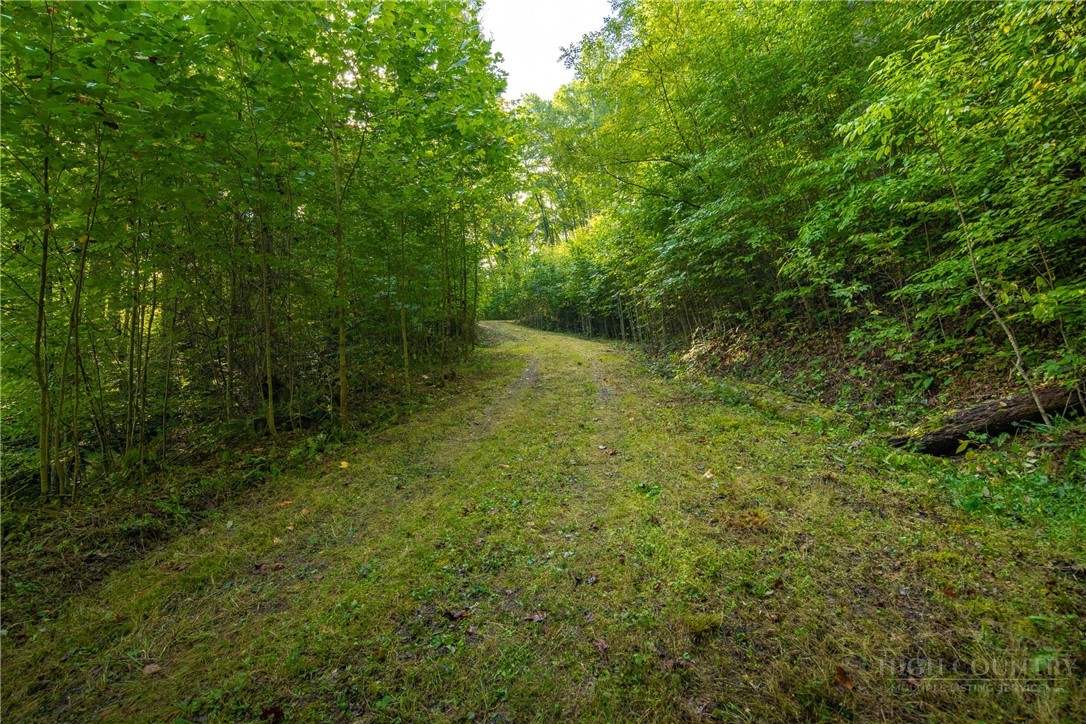 Wasatch Drive Boone, NC 28607 - Photo 21 of 33 Gallery Image 21