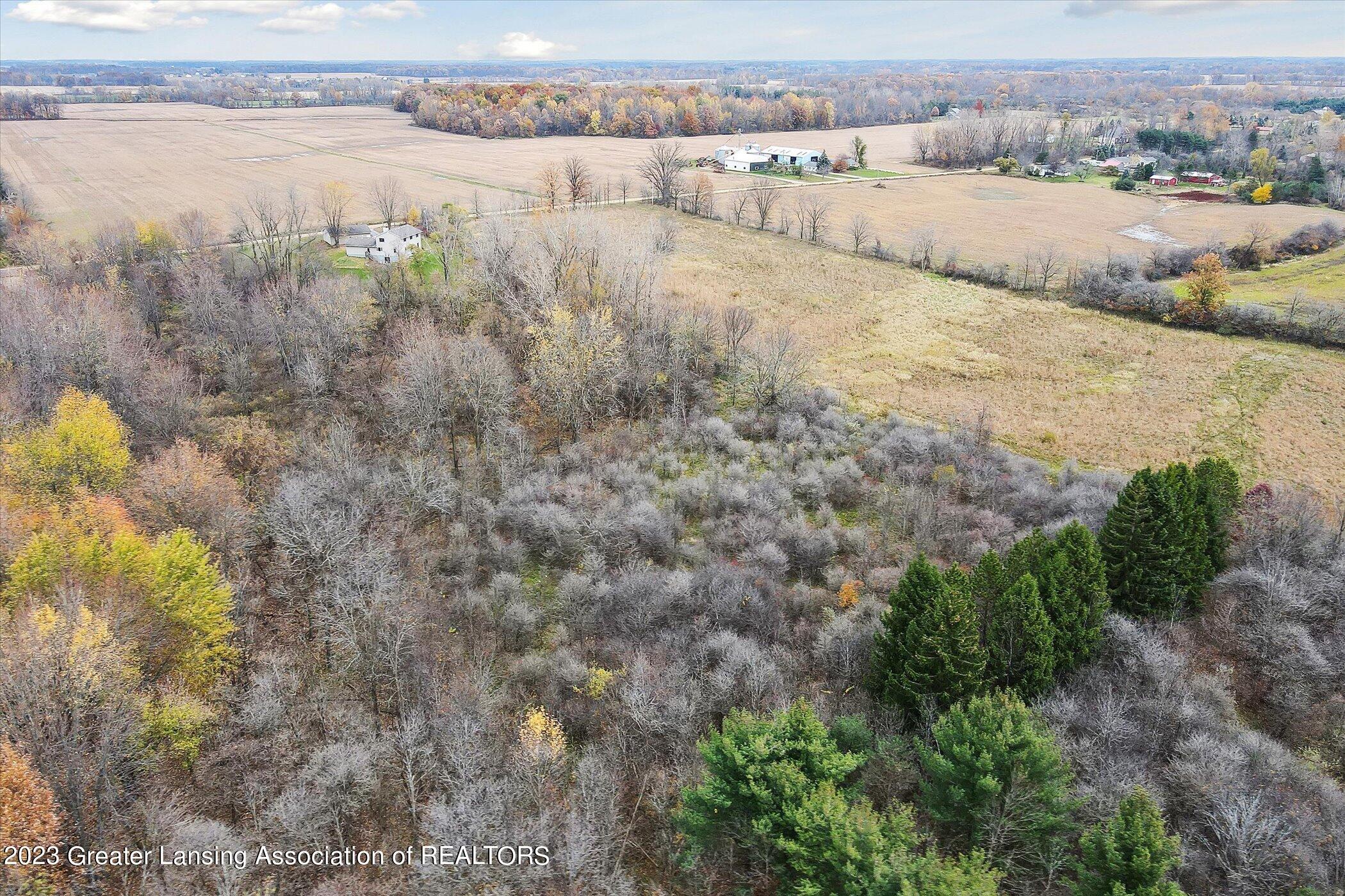 7461 West Chadwick Road Dewitt, MI 48820 - Photo 79 of 80 Aerial