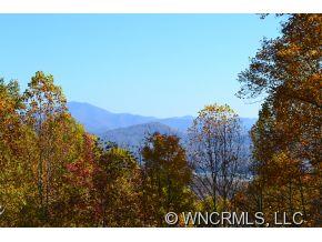 824 Pot Leg Road Waynesville, NC 28785 - Photo 2 of 24