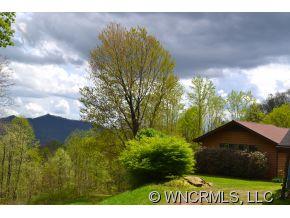 824 Pot Leg Road Waynesville, NC 28785 - Photo 23 of 24