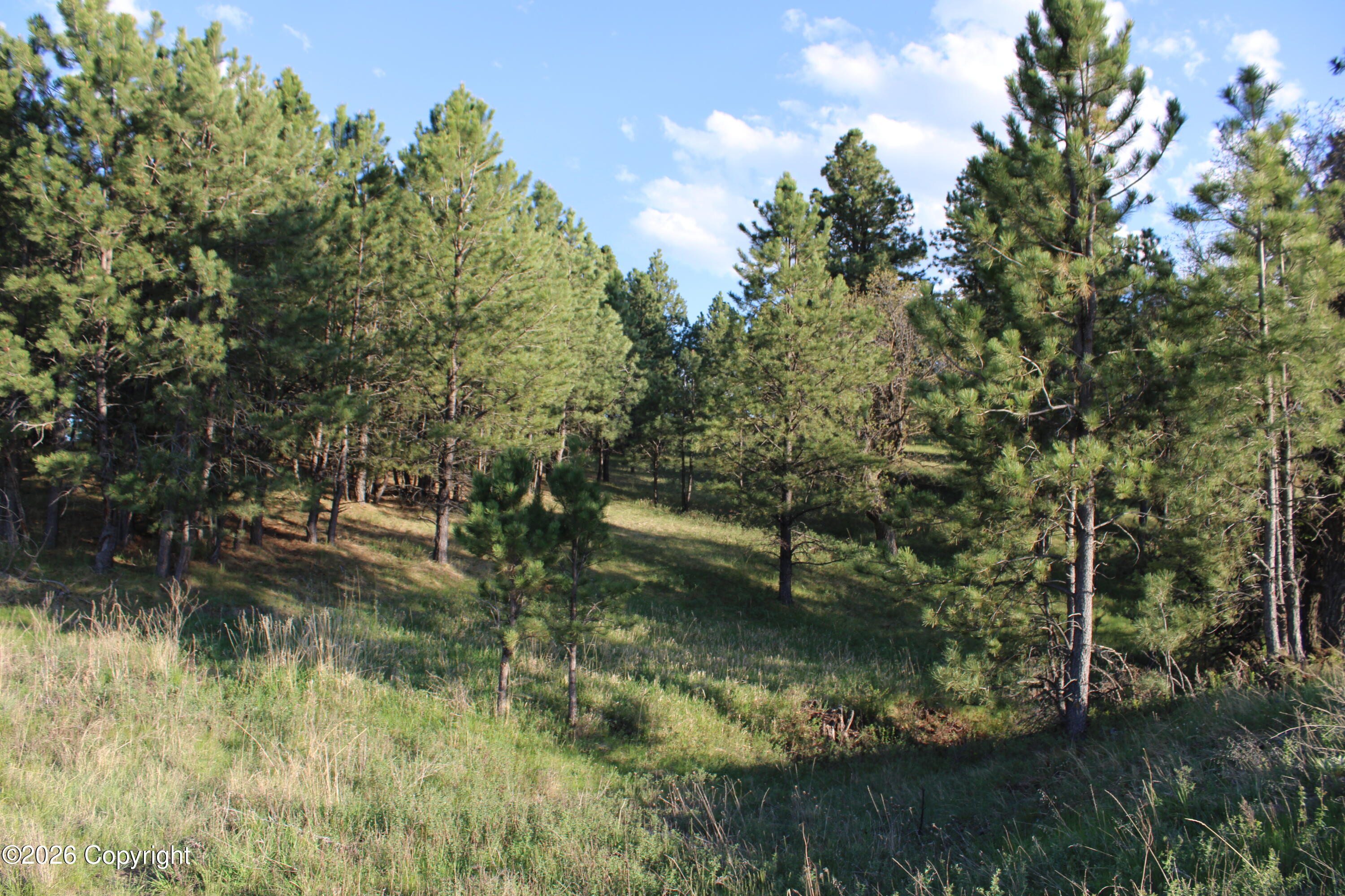 12 River Road Hulett, WY 82720 - Photo 11 of 23 Gallery Image 11
