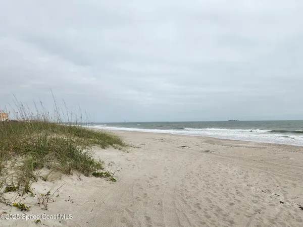 a view of a yard with wooden fence