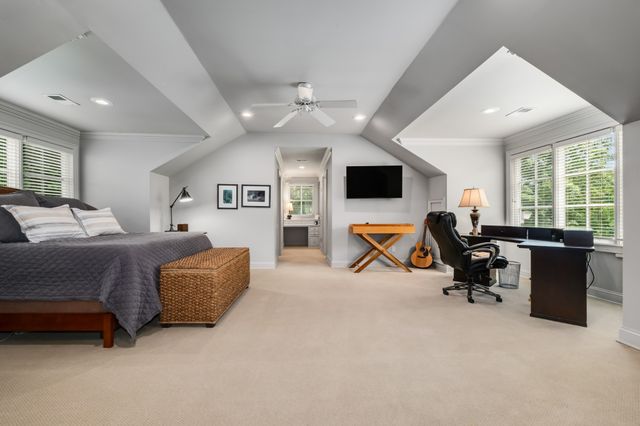 a view of a garden with potted plants