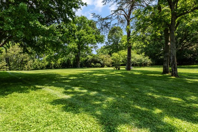 a view of a yard with plants and trees