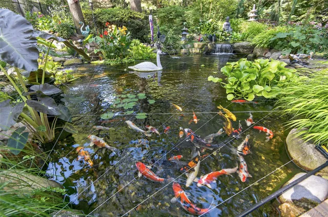 a view of a tree with a garden