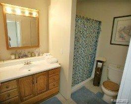 17600 Savage Road Belleville, MI 48111 - Photo 6 of 10 First Floor Bath