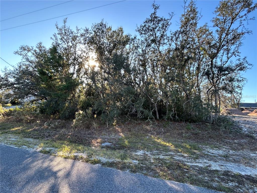 0 Amero Lane, Unit 13 Spring Hill, FL 34609 - Photo 2 of 4 a view of a yard with a tree