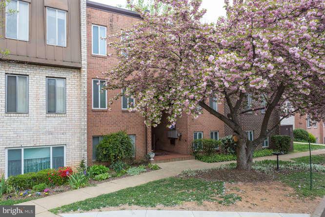 5051 7th Road South, Unit T1 Arlington, VA 22204 - Photo 2 of 25 Exterior (Front)