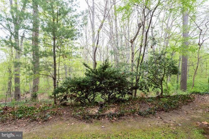 5051 7th Road South, Unit T1 Arlington, VA 22204 - Photo 22 of 25 Exterior (Rear)