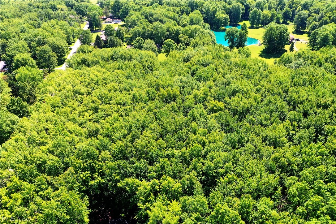 Airport Road Northwest Warren, OH 44481 - Photo 13 of 19