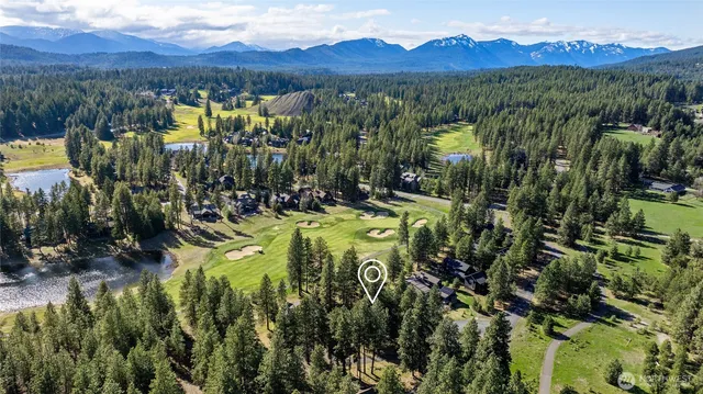 a view of a forest with mountains in the background