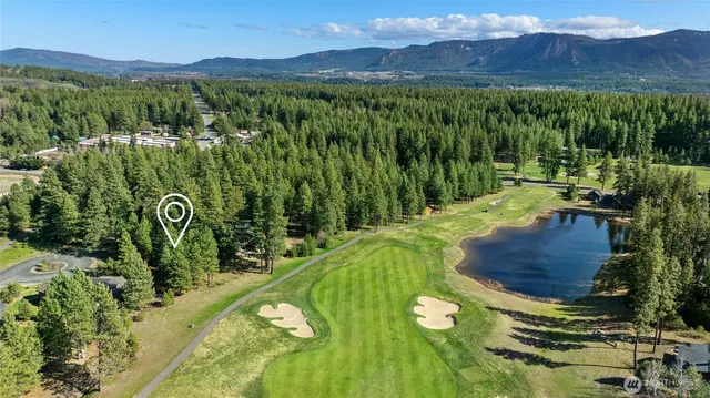 a view of a lush green forest with trees and houses