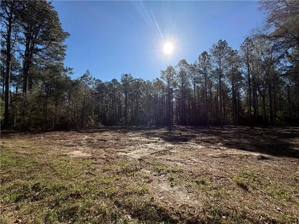 $150,000 | Tbd 12-acres Tbd 12-acres Tatoo Road, Glenmora, LA 71433