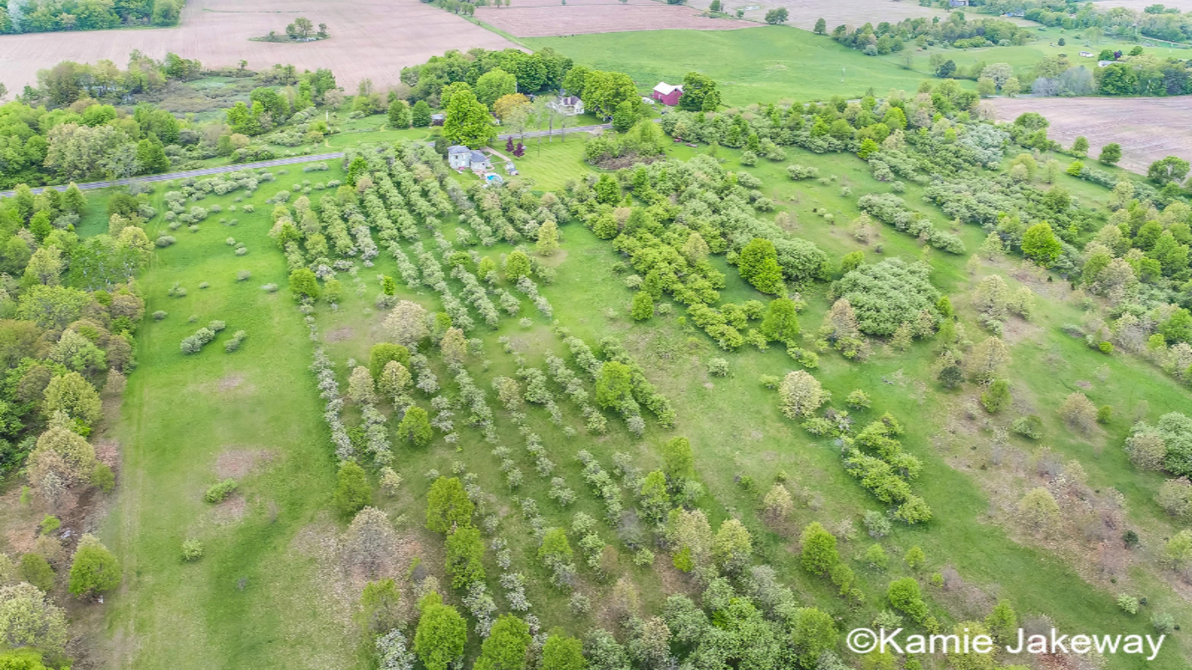 10594 Button Road Belding, MI 48809 - Photo 54 of 55 DJI_0112