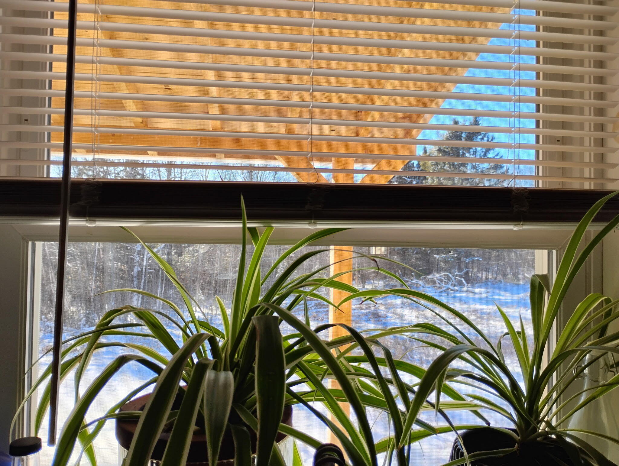 511 Kingman Road Kingman, ME 04451 - Photo 22 of 25 445111500748641742