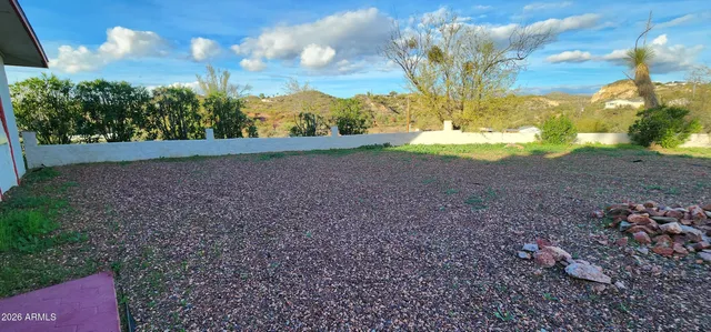 a view of a yard with large trees